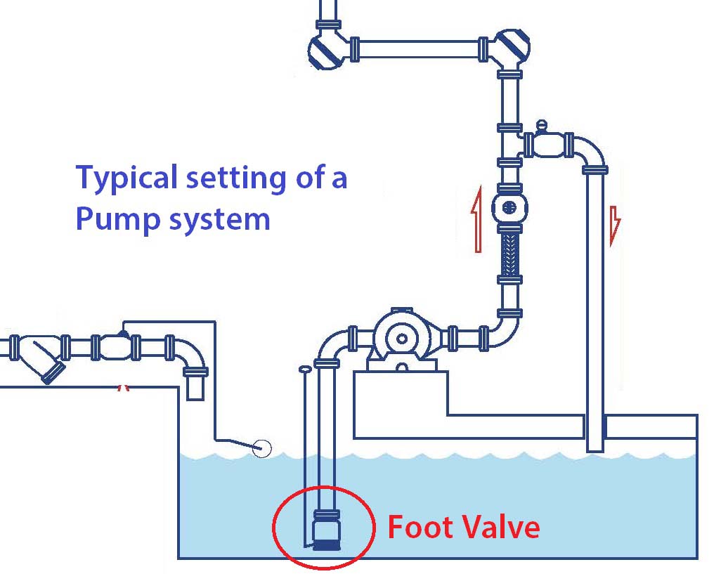 Z-Tide Foot Valve in Pump System illustration sketch for Z-Tide foot valve installation